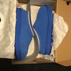 UGG Vibrant Blue Tasman
